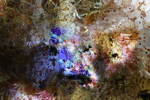 María Mallo, arquitecta. Conferencia 