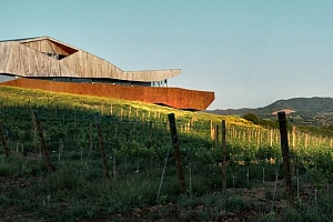 Futbolistas con bodegas