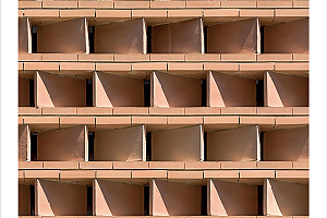 Conarquitectura