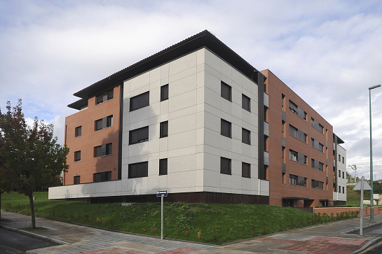 40 VPO en Ormaza . Getxo . Vizcaya . España