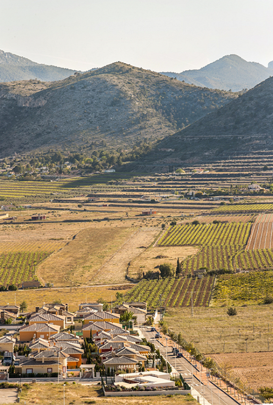 CASA ASPE . Aspe . Alacant . España
