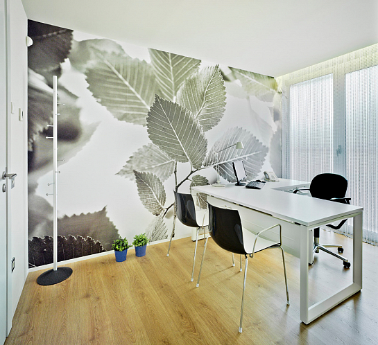 Clínica de Fertilidad IMAR -Murcia- . Murcia . Murcia . España