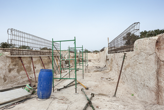 Bosc d’en Pep Ferrer . Illes Balears . España