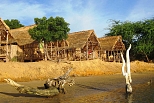 Ecocampamento de Faoye 