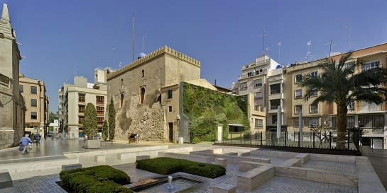 CAFETERÍA CALAHORRA . Elche . Alacant . España