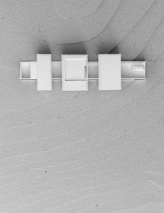 Bosc d’en Pep Ferrer . Illes Balears . España