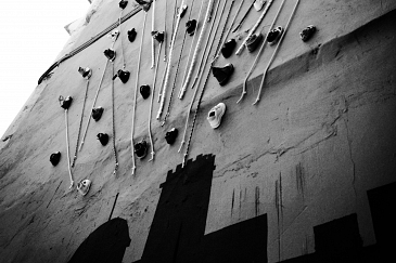 La palmera deconstruida_en clave ilicitana // Elx con idea 2014 . Elche . Alacant . España