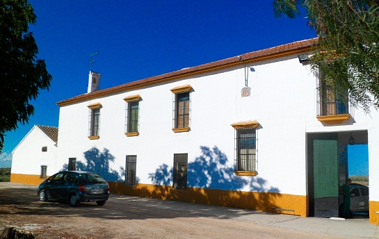 Levantamiento de finca de campo . Puente Genil . Córdoba . España