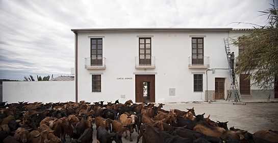 Cortijo Morales . Granada . Granada . España