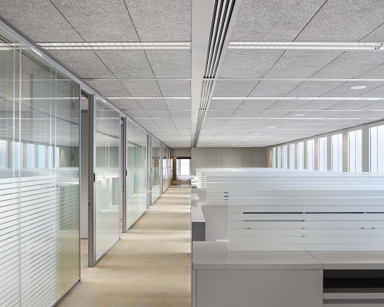 Oficinas para Consejería de Fomento y Vivienda . Sevilla . Sevilla . España