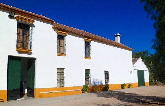 Levantamiento de finca de campo . Puente Genil . Córdoba . España