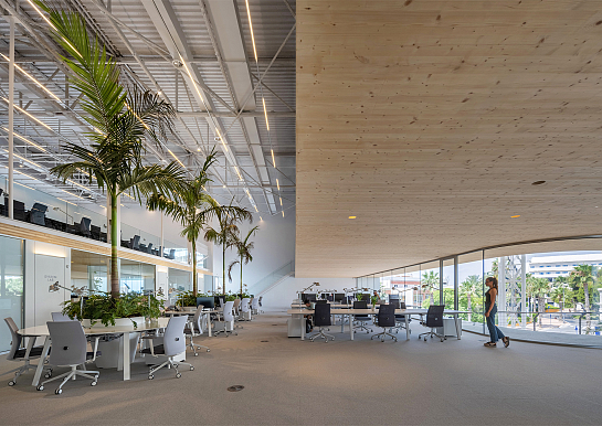 Facephi Headquarters . Alicante . Alacant . España
