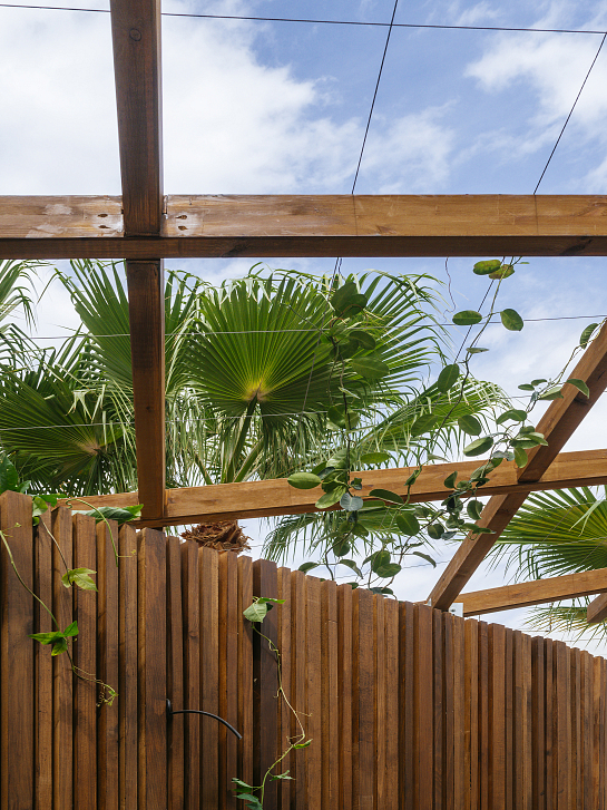 Emplazados en Adra . Almería . Almería . España