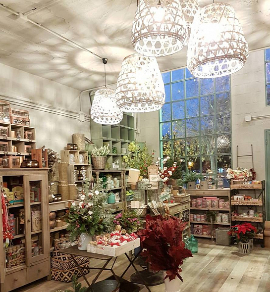 Floristería La Trastienda 2 . Alicante . Alacant . España