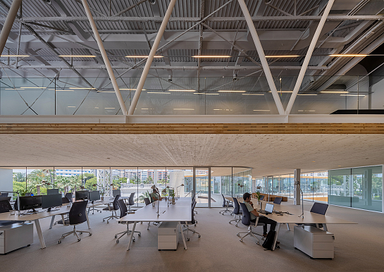 Facephi Headquarters . Alicante . Alacant . España