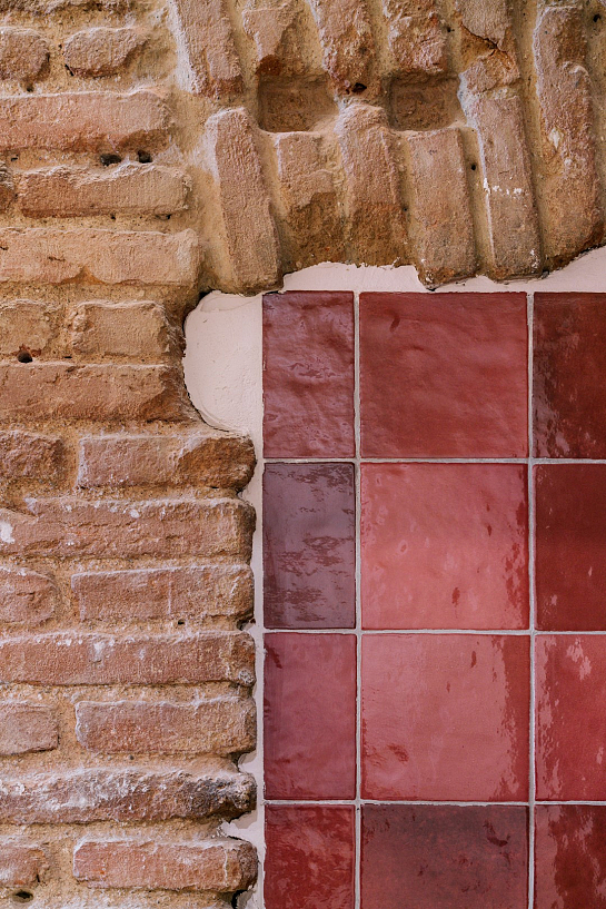 La Vaca y la Huerta . Madrid . Madrid . España