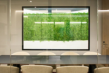 1PUNTO6 . Valencia . València . España