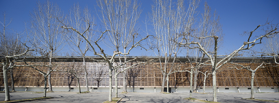 Rehabilitación de Picadero Cubierto . Madrid . Madrid . España
