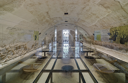 Escuela de Vino de Cehegín . Murcia . Murcia . España