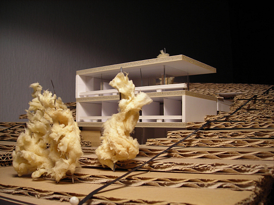 Casa Ladera . Murcia . Murcia . España