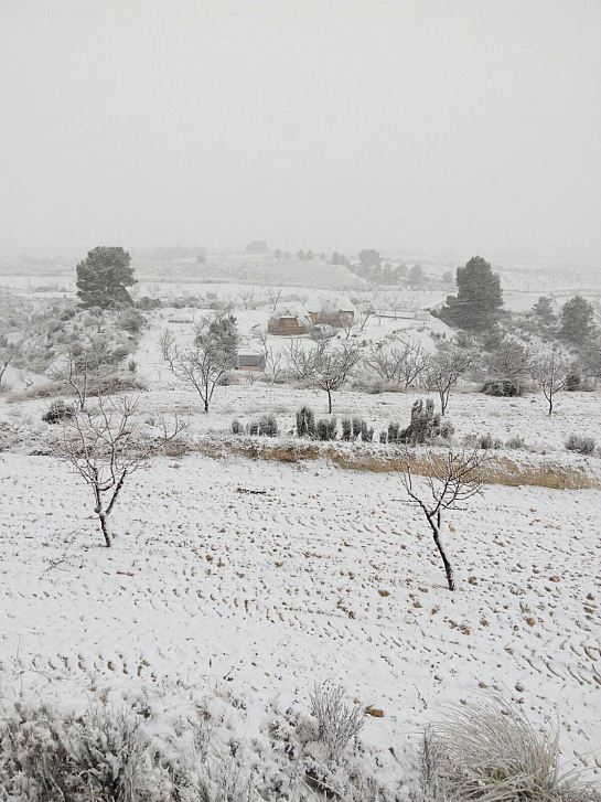 Vivienda Geodésica . Jumilla . Murcia . España
