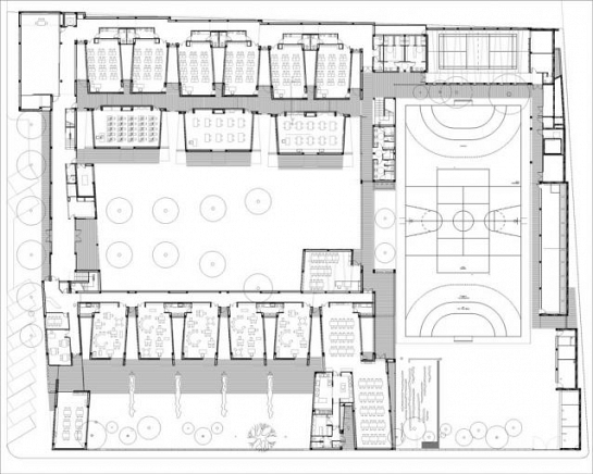 Colegio Público de Infantil y Primaria San Antón . Pinoso . Alacant . España