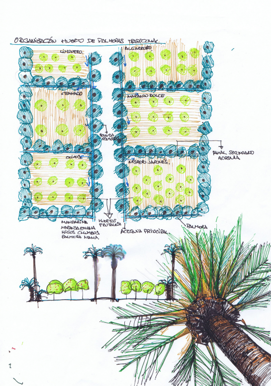 Vivienda unifamiliar en un Huerto de Palmeras . Elche . Alacant . España