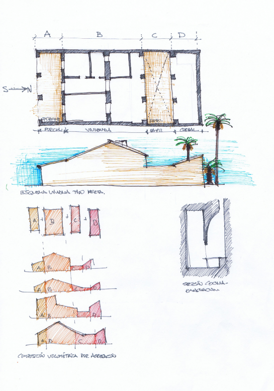 Vivienda unifamiliar en un Huerto de Palmeras . Elche . Alacant . España