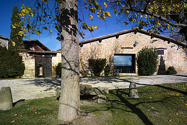 Viñedos del Contino . Alava . Asturias . España