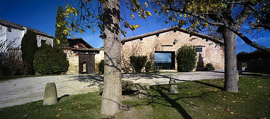 Viñedos del Contino . Alava . Asturias . España