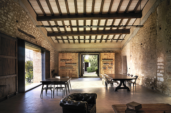 Viñedos del Contino . Alava . Asturias . España