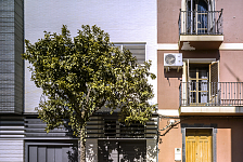 Casa Vázquez . Sevilla . Sevilla . España