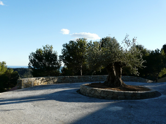 Jardines del Hotel 'Finca El Otero'