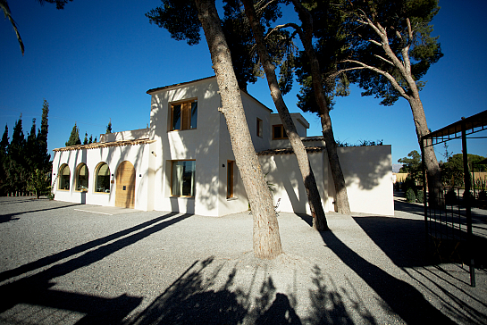 Restaurante Pópuli bistró . Alicante . Alacant . España