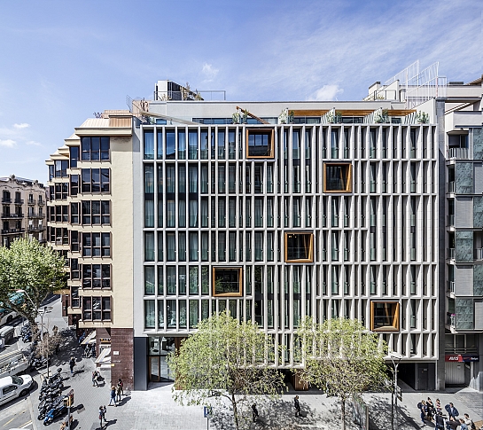 Ohla Hotel Eixample . Barcelona . Barcelona . España