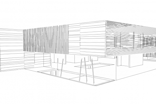 PFC Biblioteca pública en Borbotó . 2010
