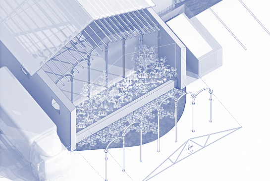 Jardín de Especias TOQUE . Novelda . Alacant . España . 2016