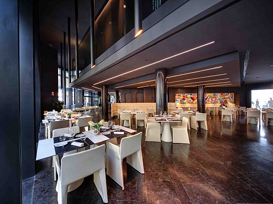 Hotel Olivia Balmes . Barcelona . Barcelona . España