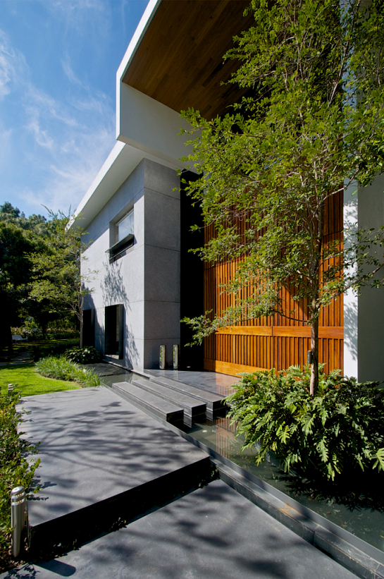 Casa bajo el árbol . Zapopan . Jalisco . México
