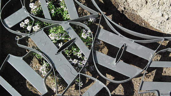 CELOSÍAS CULTURALES . Elche . Alacant . España