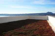 Cubierta con sustrato de espuma de poliuretano y sédum . Jávea . Alacant . España . 2015