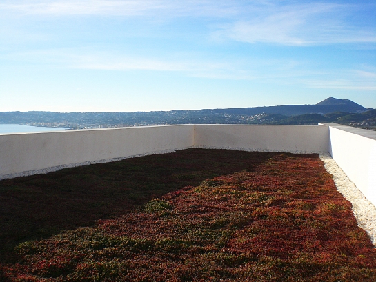 Cubierta con sustrato de espuma de poliuretano y sédum . Jávea . Alacant . España