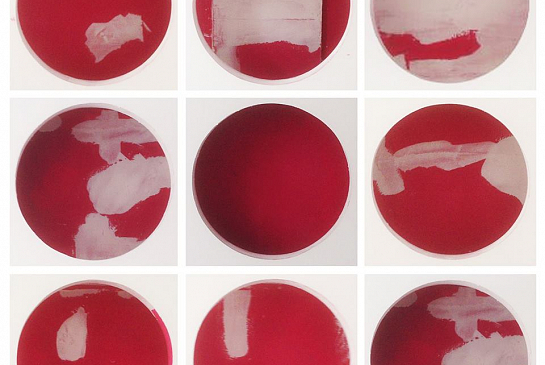 CLINICA DE FISIOTERAPIA EN CALLE SOL . Granada . Granada . España . 2015