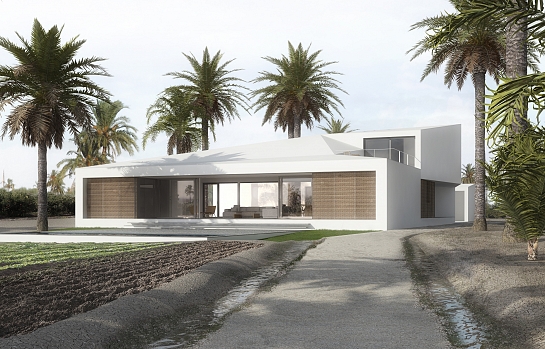 Vivienda unifamiliar en un Huerto de Palmeras . Elche . Alacant . España