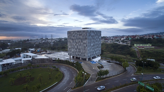 Torre Olmo . México . México . México