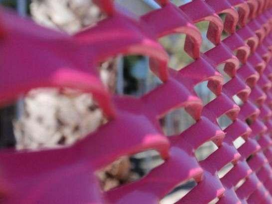 menjarosa . Torrevieja . Alacant . España