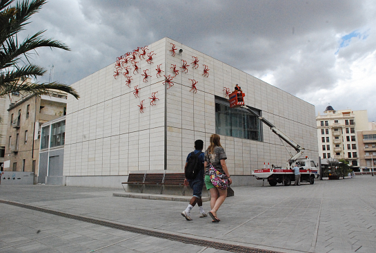 ARAÑAS I+D+I . Elche . Alacant . España