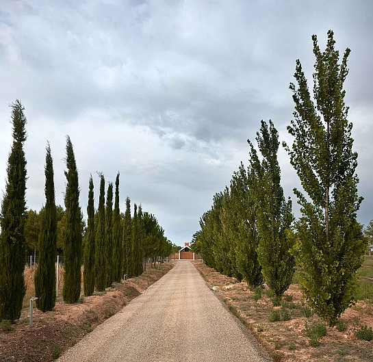 Refugio en la Viña . Valencia . València . España