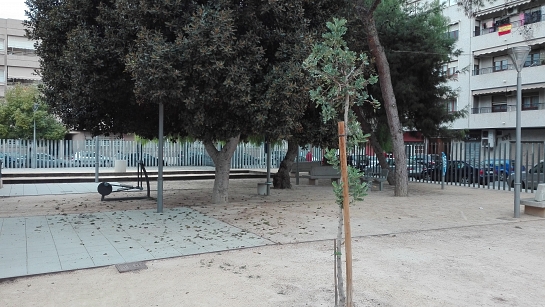 Remodelación Plaza de la Libertad . Almoradí . Alacant . España