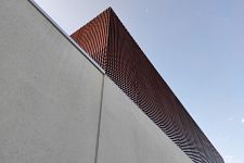 Gimnasio CEIP . Pedreguer . Alacant . España . 2019